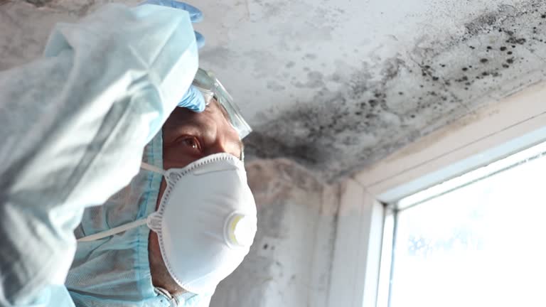 Best Asbestos and Lead Testing During Mold Inspection  in Lake Of The Woods, IL